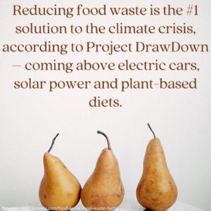 Food Waste Fact 7