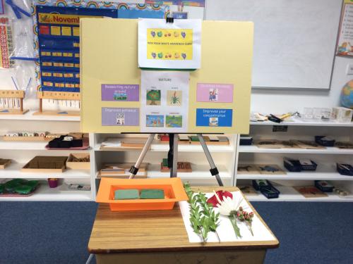 Rainbow Montessori School