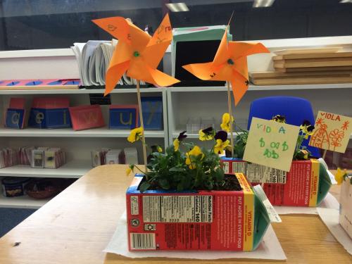 Rainbow Montessori School